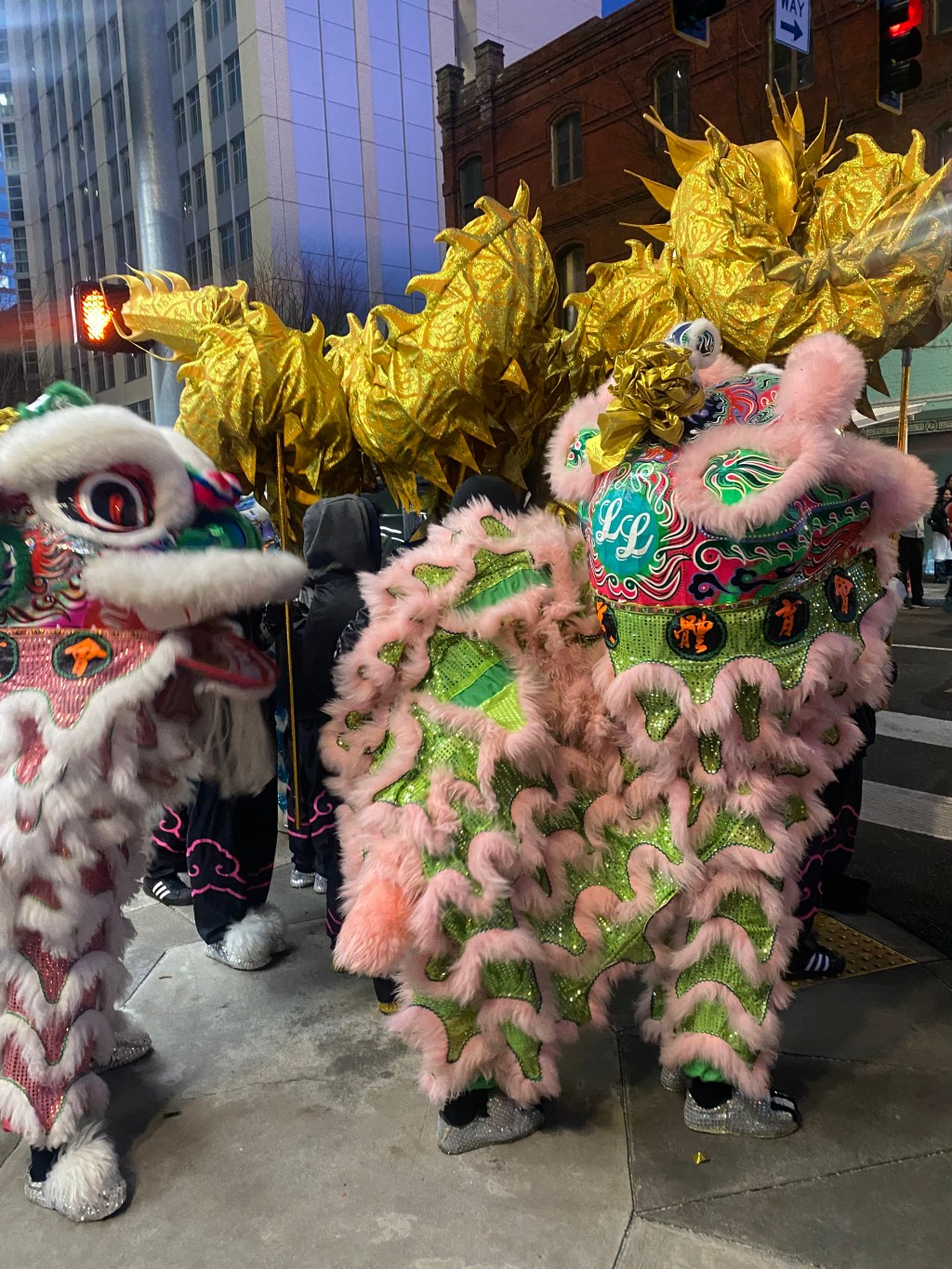 Hennessy Shots for Lions